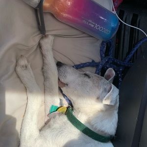 Meet your Posher, Noah